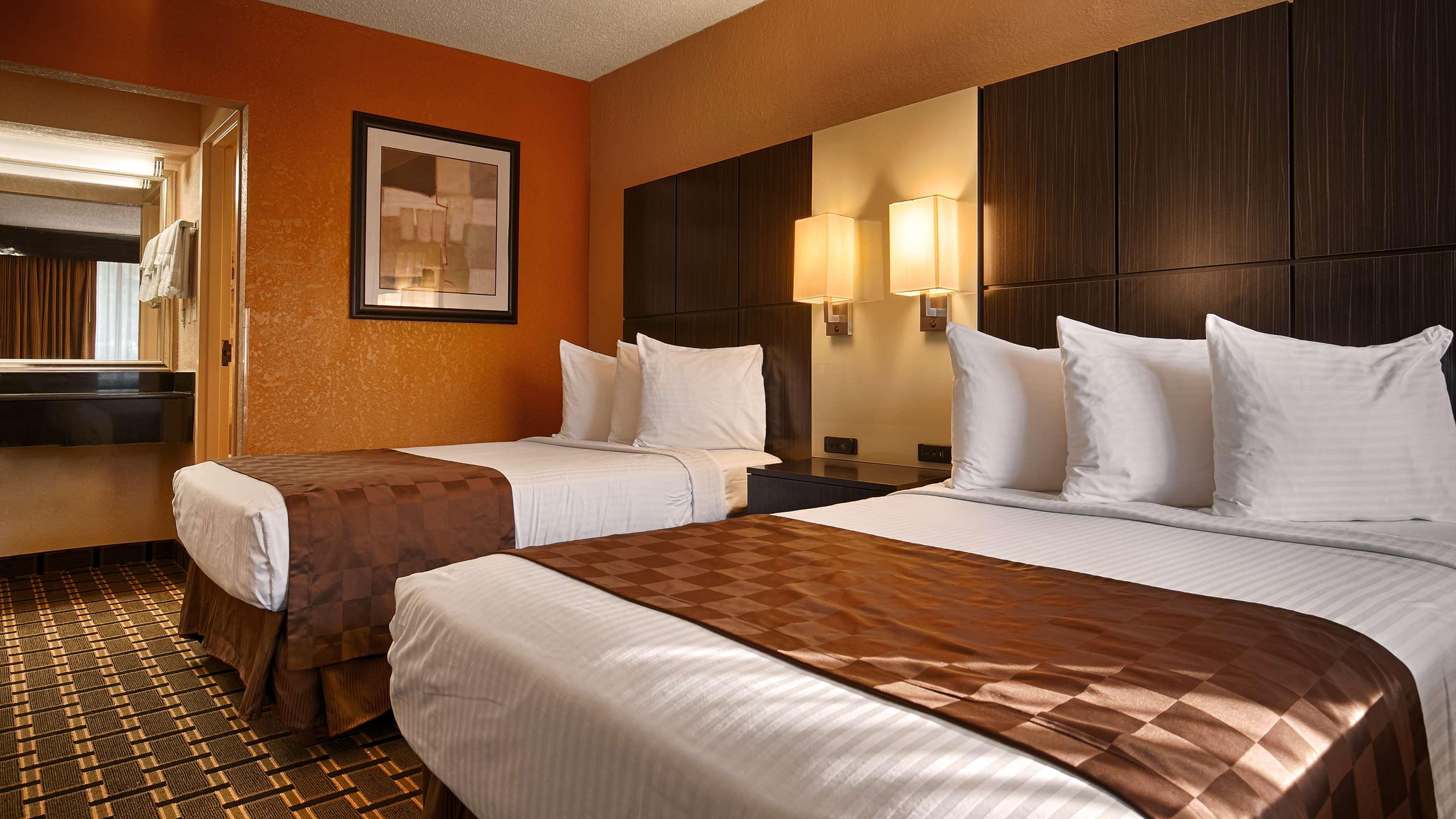 Western Executive Cairo