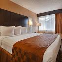 Western Executive 3* Cairo